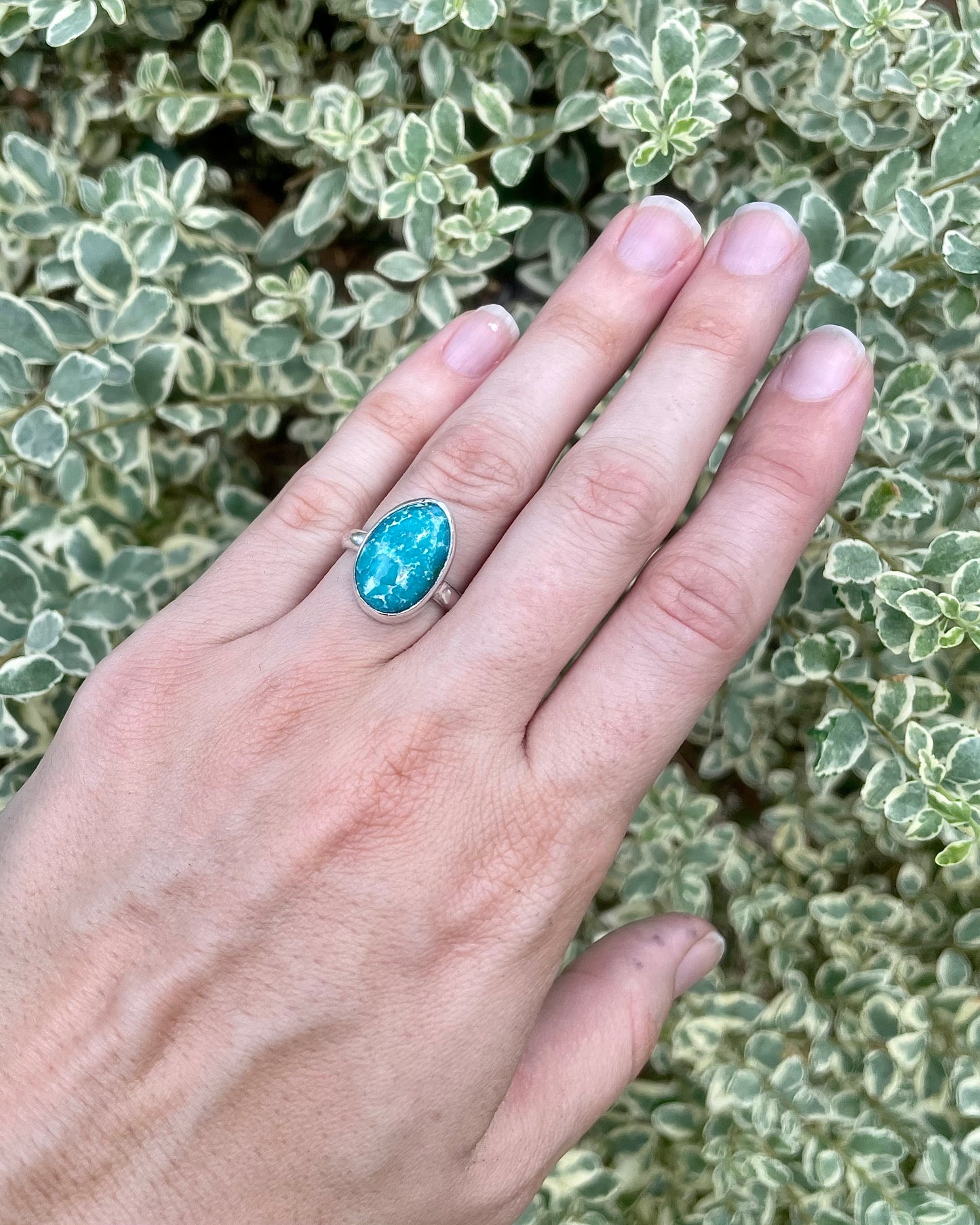 Sonoran Gold Turquoise Ring Size 6