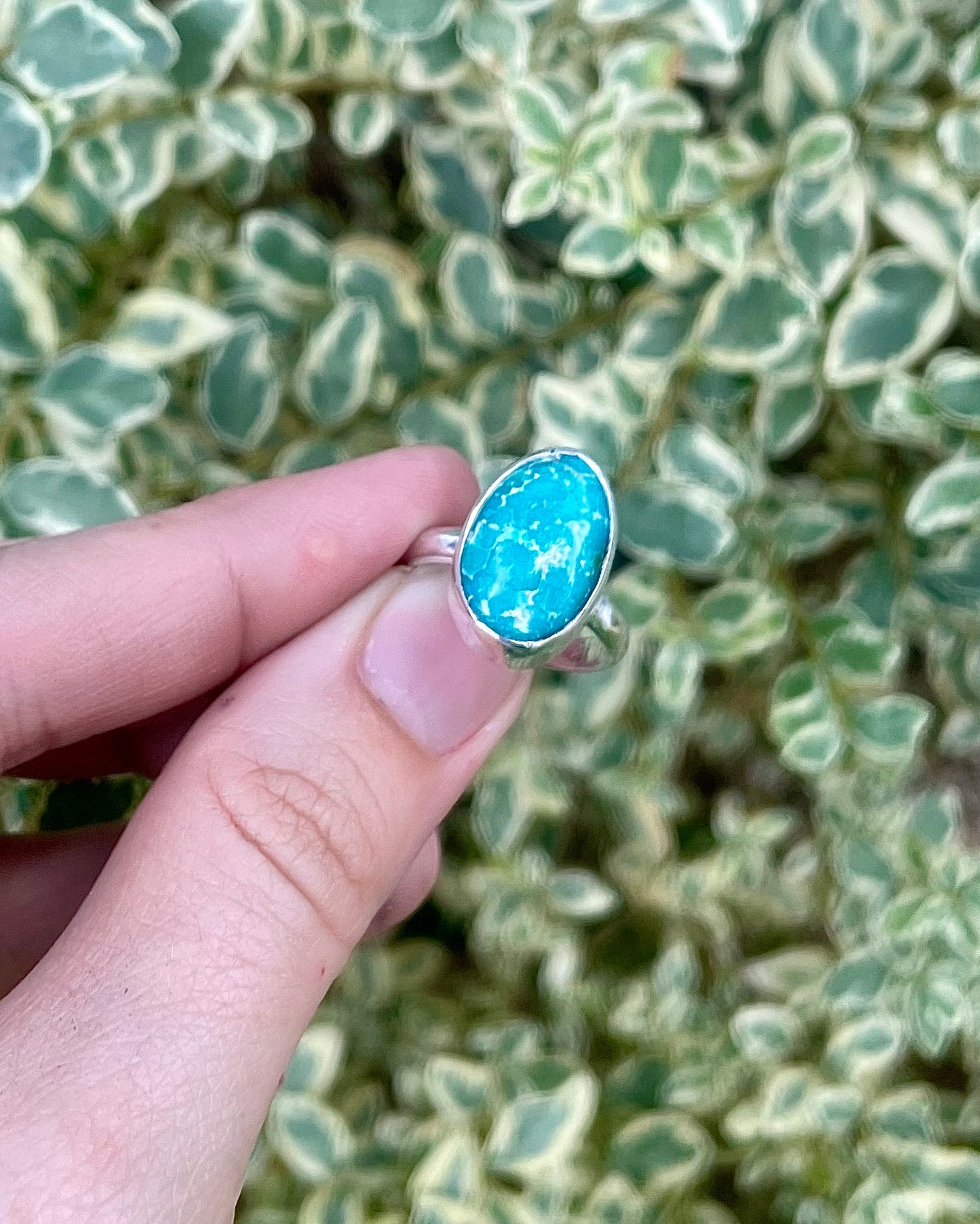 Sonoran Gold Turquoise Ring Size 6
