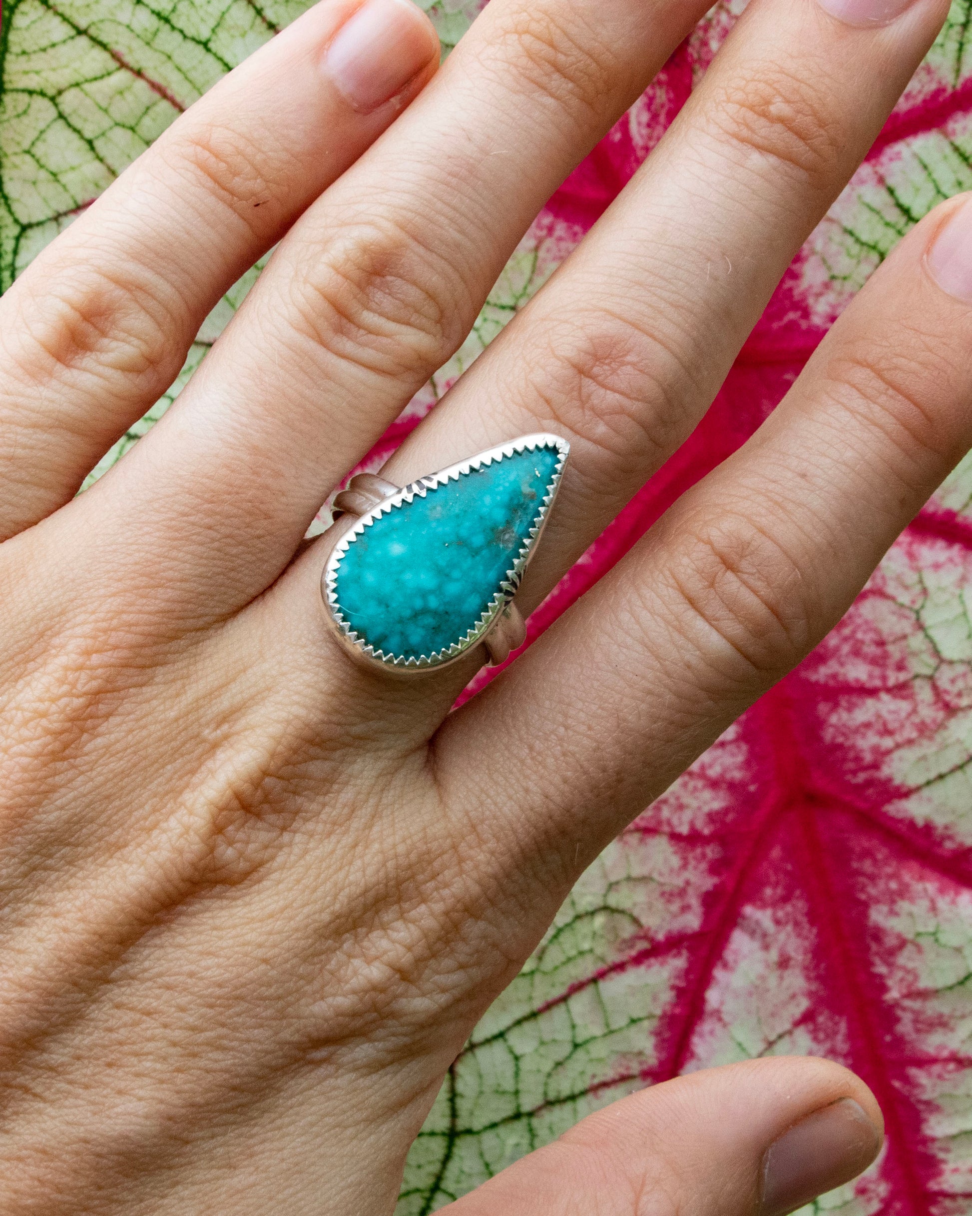 chunky teardrop kingman birdseye turquoise sterling silver ring with double half round band with sunrise stamp on side of bezel being worn on ring finger in front of red veins on a white and green leaf