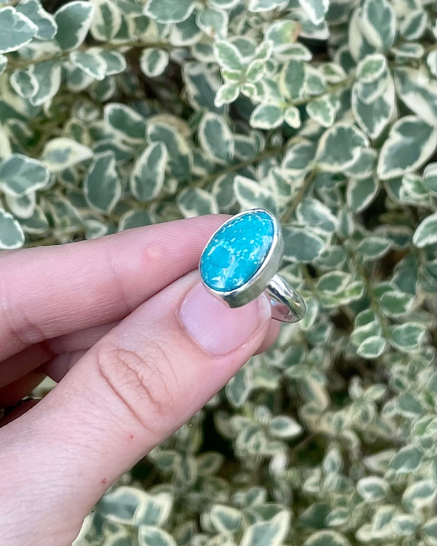 Sonoran Gold Turquoise Ring Size 6