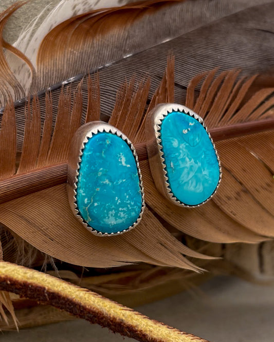 Sierra Bella Turquoise Stud Earrings
