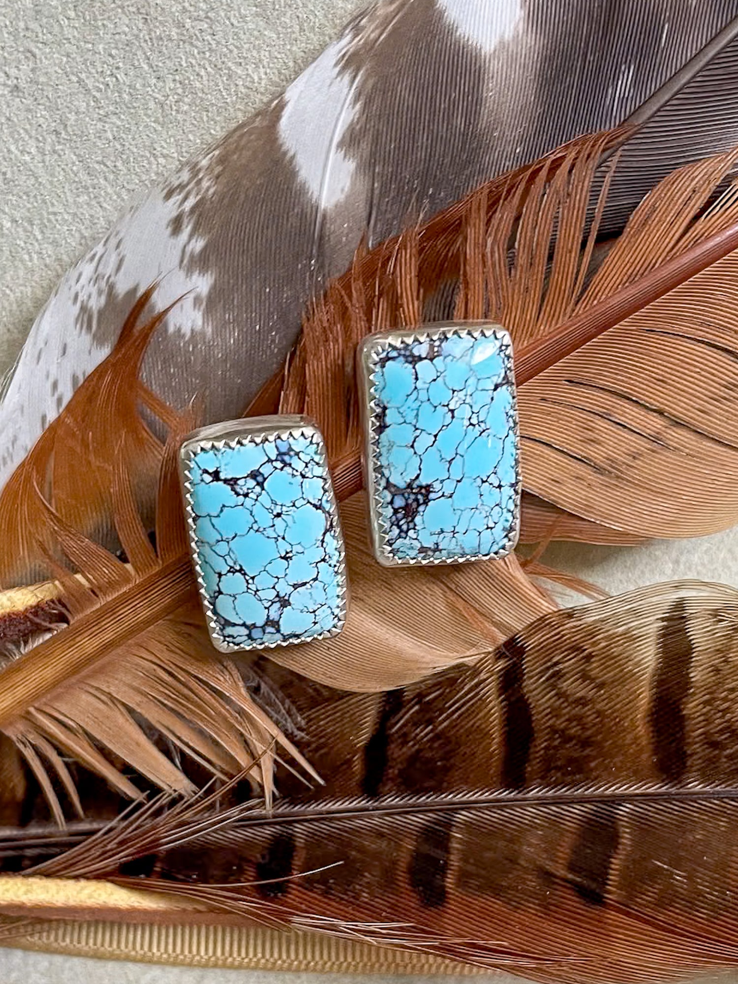 golden hills turquoise rectangular earrings on brown feather