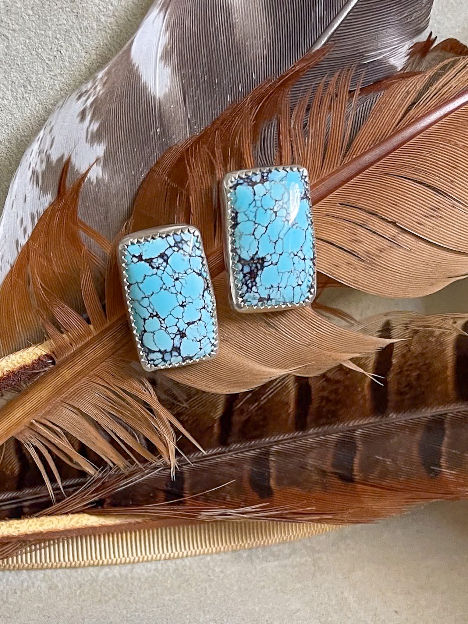 golden hills turquoise rectangular earrings on brown feather