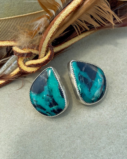 Black Buffalo Statement Earrings